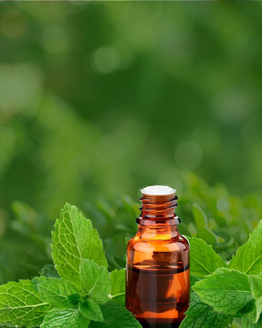 ELABORACIÓN DE REMEDIOS VIBRACIONALES